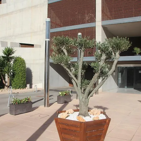 Muchosol * Бенидорм