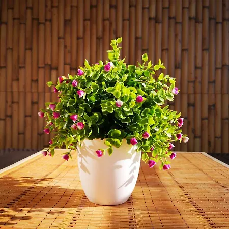 Апартаменты Muchosol