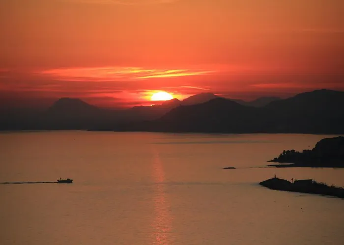 Muchosol Μπένιντορμ